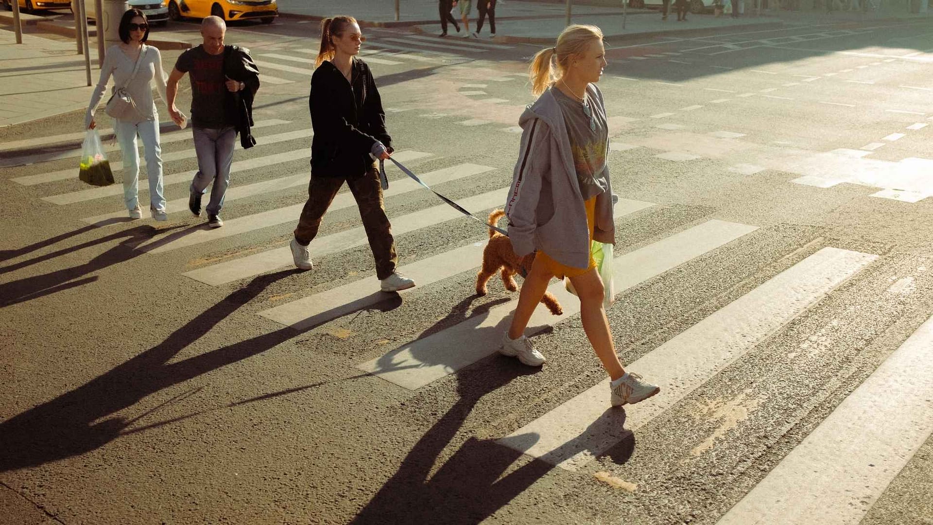 Lion Law Pedestrian Accident Lawyers