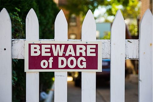 Should I Get a Lawyer After a Dog Bite or Other Animal Attack? 3 dog bites