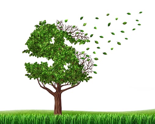 What "Judgment Proof" Means 4 Green tree in the shape of a dollar sign with leaves falling off as an icon of wealth loss