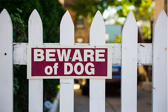 If My Dog Bites a Trespasser am I Liable? 3 dog bites