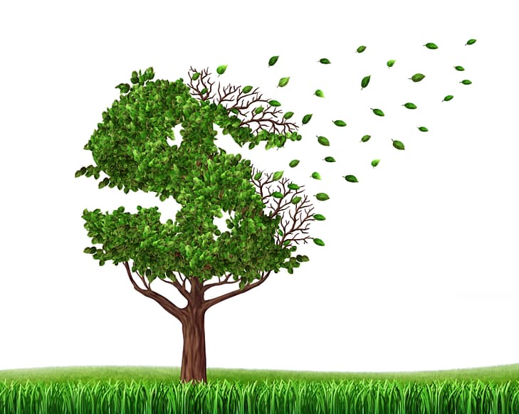 El método multiplicador: ¿cómo se calcula el dolor y el sufrimiento? 3 Árbol verde en forma de signo de dólar con hojas cayendo como ícono de pérdida de riqueza debido a la pérdida de salarios