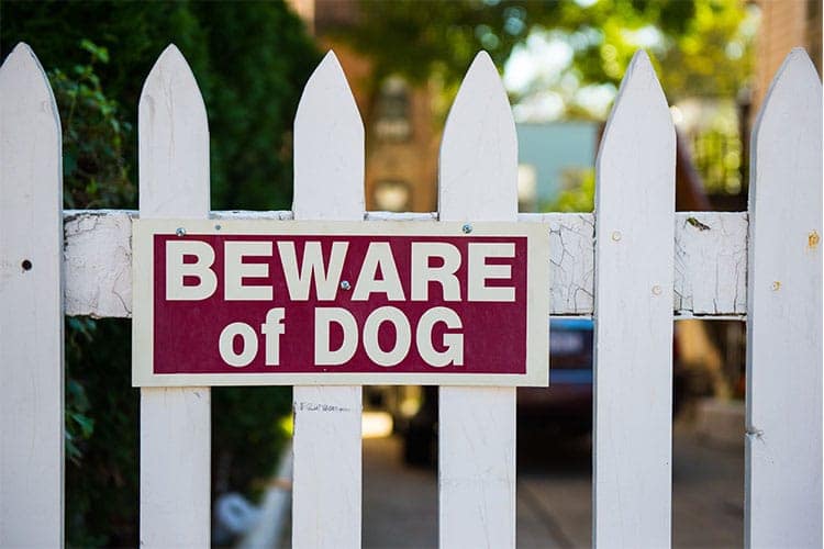 dog bites